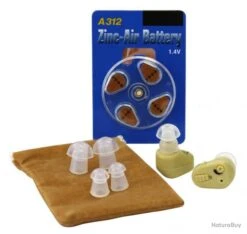 Paire D'amplificateurs Woodland Whisper ITE AC